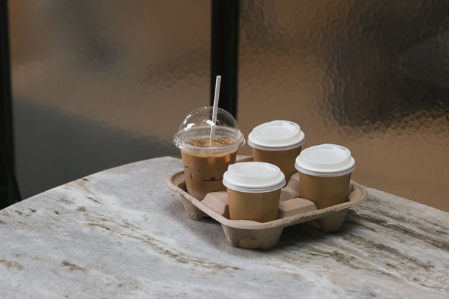 Government introduces single-use plastic ban to combat New Zealand waste crisis.