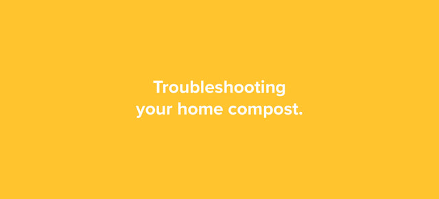 Troubleshooting your home compost.