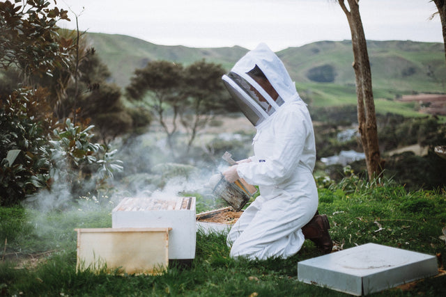 Happy World Bee Day!
