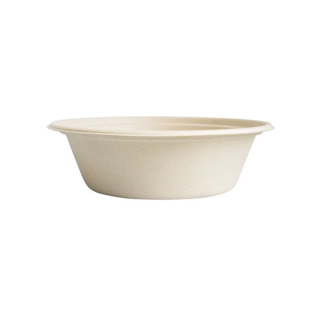 Bagasse Dish