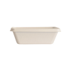 Bagasse - Tray