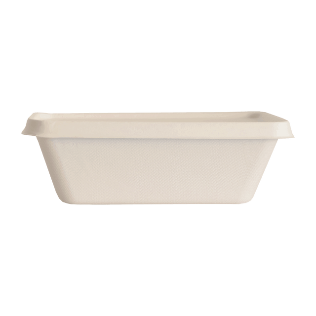Bagasse - Tray