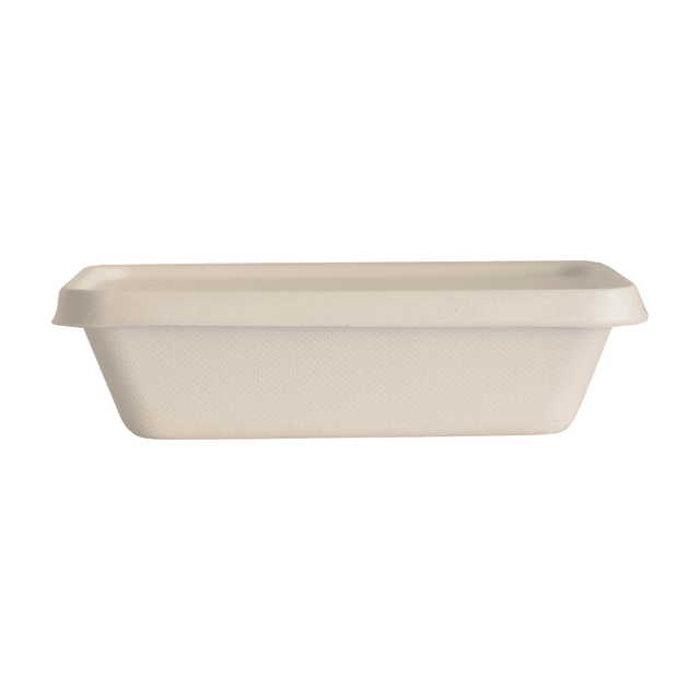 Bagasse - Tray