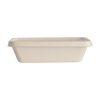 Bagasse - Tray
