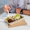 bagasse flat container large